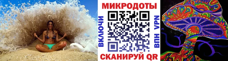 Псилоцибиновые грибы мицелий  Купить закладки  Чекалин 