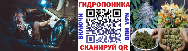 Купить где  Чекалин  Канабис семена 